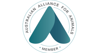 Help Australian Alliance for Animals call on Minister Leigh to modernise Australia’s charity laws to align with community values and strengthen animal welfare across Australia.