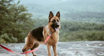 Photo by Katelyn MacMillan on Unsplash