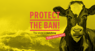 Protect the Ban on Live Export 