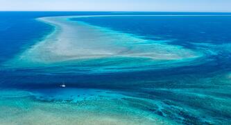 Tell Anthony Albanese and Murray Watt: Save Scott Reef