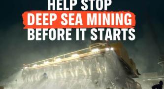 Help Stop Deep Sea Mining before it starts