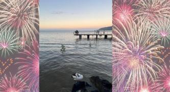 Stop Random Fireworks in Cairns - Protect Our Wildlife and Companion Animals