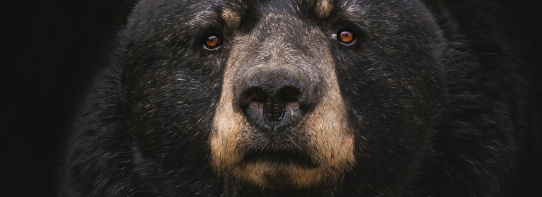 Photo by @marcojodoin on Unsplash