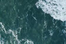Protect our oceans