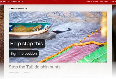 Example Action header