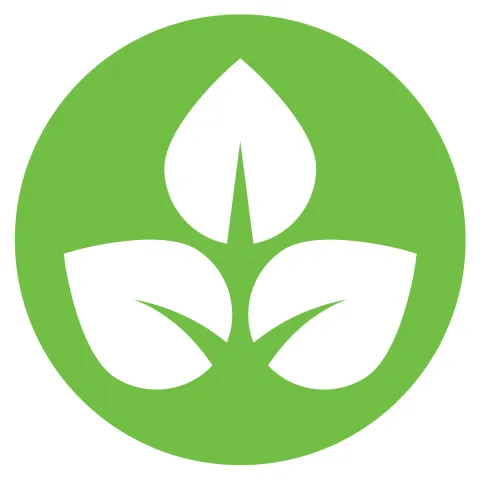 ACF logo