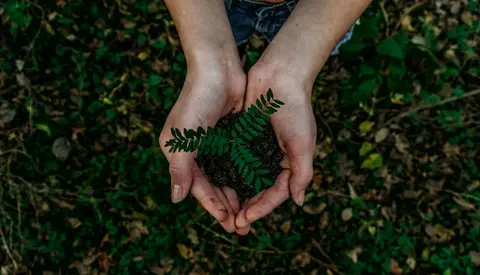 Photo by Noah Buscher on https://unsplash.com