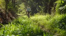 Protect QLD's Sth East Forests