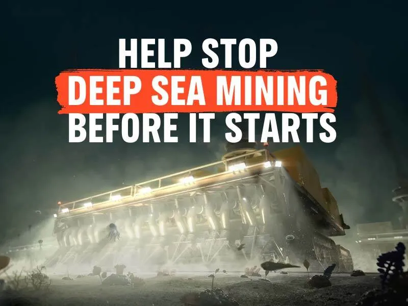 Help Stop Deep Sea Mining before it starts